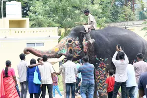 Mahout Vasanth with Abhimanyu successfully carried the Golden Howdah Mahout Vasanth with Abhimanyu successfully carried the Golden Howdah