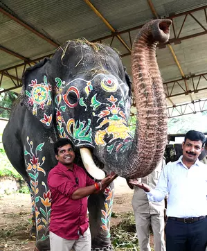 Mahout Vasanth with Abhimanyu successfully carried the Golden Howdah Mahout Vasanth with Abhimanyu successfully carried the Golden Howdah