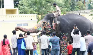 Mahout Vasanth with Abhimanyu successfully carried the Golden Howdah