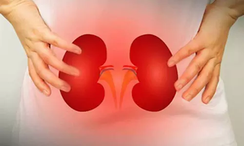 Study explains how PFAS exposure worsens kidney function