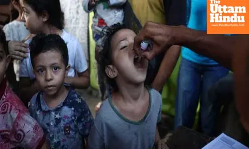 WHO delivers supplies for 2nd phase of polio vaccination campaign in Gaza: UN