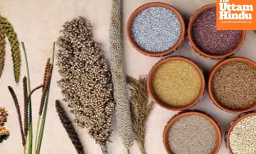 Indian practice of limiting food waste, more veg diets can mitigate climate change