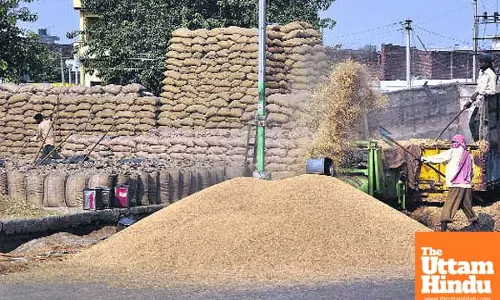 Millers refuse to stock paddy citing lack of trust