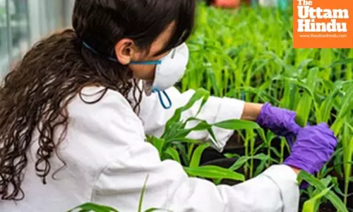 Centre to launch BRIC-National Agri-Food Biomanufacturing Institute on Monday