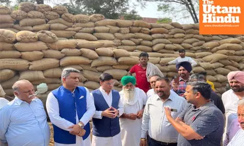 BJP Leader Dr. Subhash Sharma reviews paddy procurement process at Kharar grain market