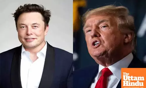 Musk emerges as Trumps campaign lightning rod