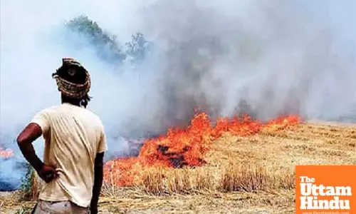 Hearing on stubble burning held in SC today