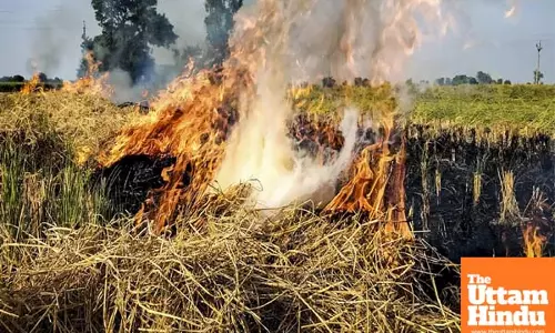 Centre doubles penalty for stubble burning amid rising air pollution in Delhi-NCR