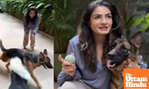 Raveena Tandon adopts ‘abandoned’ four-legged-friend: Welcome to your forever home