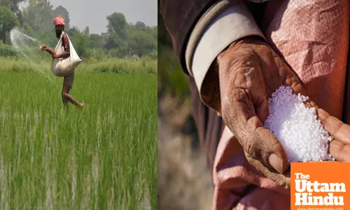 UN report warns nitrous oxide emissions impact public health