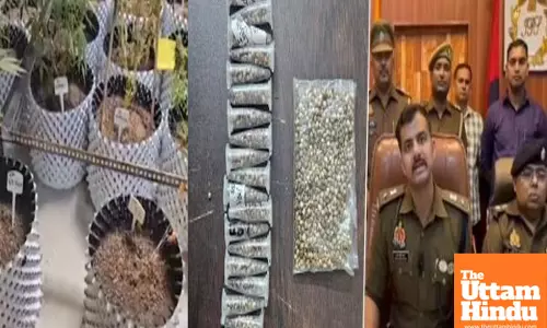 Greater Noida man arrested for growing ganja in flat to sell on dark web