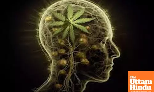 Research shows weed use ay contribute to increased cancer risk