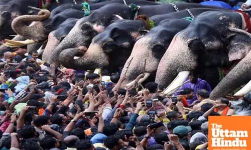 If jumbo guidelines are implemented, temple festivals will not happen as before: Kerala Minister