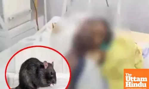 Dead mans eye goes missing in Patna hospital, doctors blame rats
