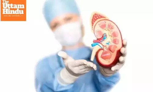 Japanese researchers find diabetes drugs’ potential to protect kidneys