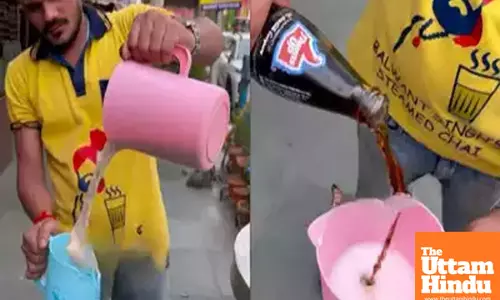 Milk meets cola: Doodh Cola from Kolkata ignites online debate and fascination