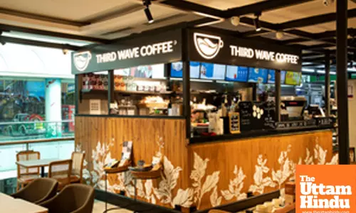 Third Wave Coffee’s net losses grow over 2 times to Rs 110 crore in FY24
