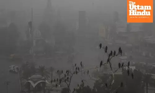 Rising pollution: Schools closed in this district from today