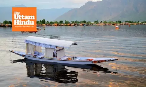 Famous Chinar boat race organised in J&Ks Dal Lake
