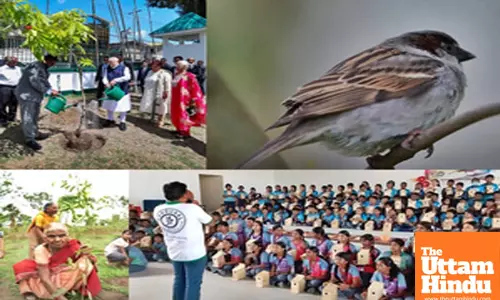 100 crore trees in five months: PM Modi lauds Ek Ped Maa Ke Naam campaign success