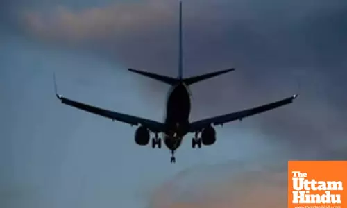 Tragedy in the Skies: One Dead, Seven Injured in Devastating Plane Crash