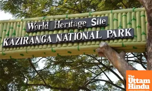 Four-day International Tourism Mart in Kaziranga from tomorrow