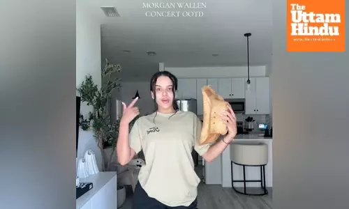 TikTok Theft Brag Backfires: Influencer Arrested Live