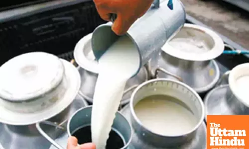 Indias milk production rises 4 pc to cross 239 million tonnes in 2023-24