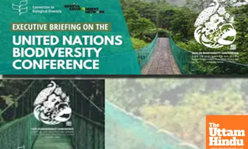 UN Biodiversity Conference to reconvene in February in Rome
