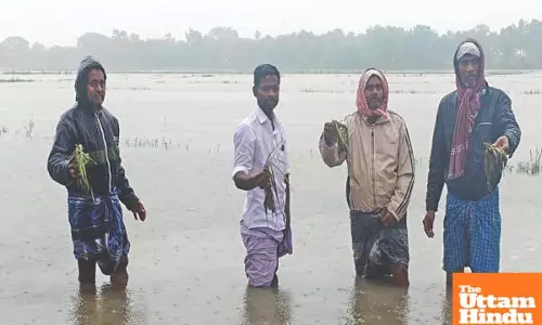 Heavy rain in Delta districts of TN: People warned against entering water bodies