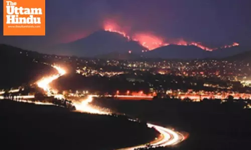 Large parts of Australia facing increased summer bushfire risk: Authorities