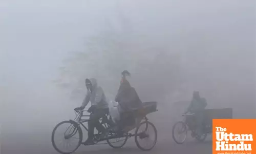 Cold Wave Hits Punjab, 7 Days of Dry Weather Ahead as Temperatures Plummet in the Plains