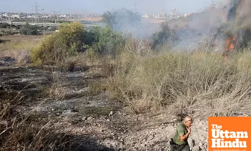 Yemens Houthis claim responsibility for missile attack on Israel