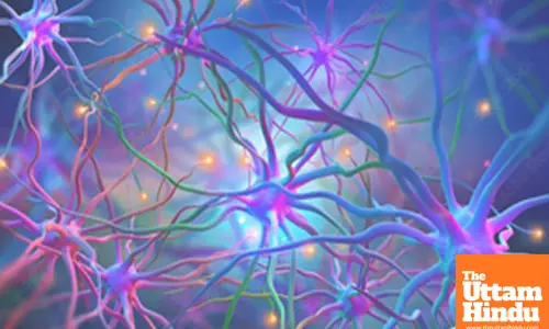 Common heart drug shows promise for Huntingtons disease