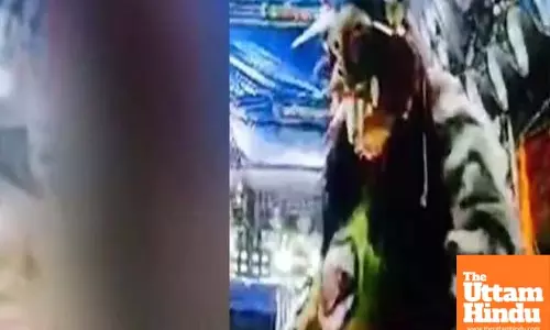 Shocking Incident: Actor Turns Monster on Stage, Cuts Open Live Pig and Eats Its Flesh