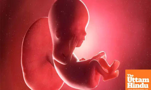 Unbelievable Find at Airport: Fetus in Cargo Shipment Found During Scanning Leaves Authorities Stunned!