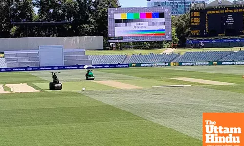 Australia’s secret weapon: “6mm Grass Plan” unveiled ahead of India clash in Adelaide Test!
