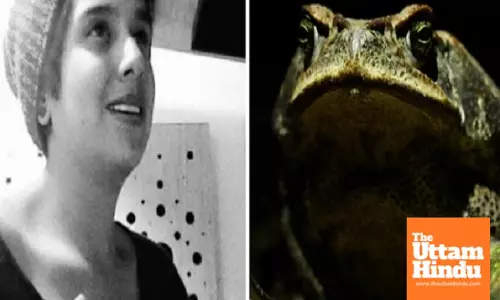 Actress Dies After Ingesting Amazonian Frog Venom in Ritual