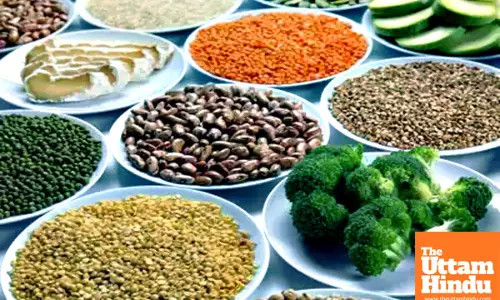 Plant Protein vs Animal Protein: The Surprising Winner for Heart Health