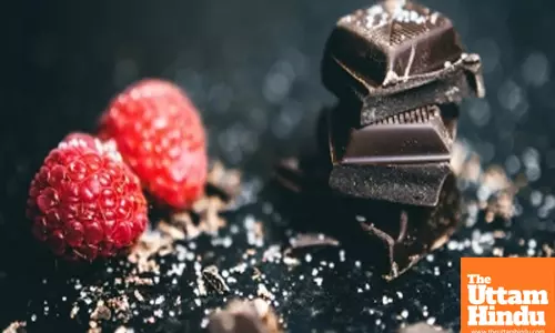 Eating dark, but not milk, chocolate may cut diabetes risk: Study