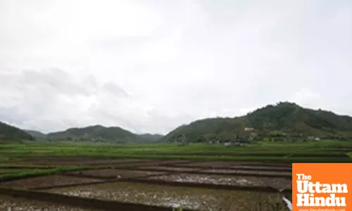 Govt released Rs 122 crore to over 1,700 agri-startups: Minister