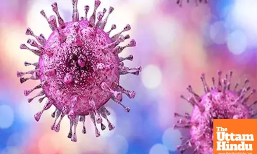 1 person globally acquires new genital herpes infection every second: WHO