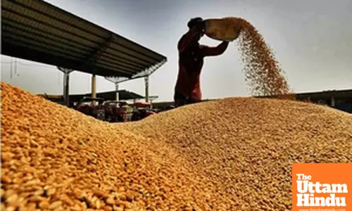 Centre cuts wheat stock limit for traders in move to ease prices