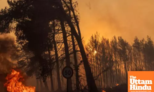 Large wildfire in Southern California scorches nearly 4,000 acres