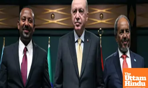 Paramilitary shelling kills 15 in Sudans North Darfur: Official