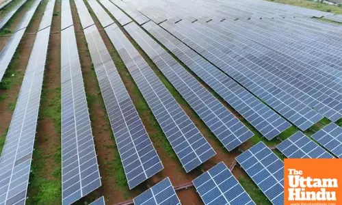 India’s renewable energy capacity logs 14.2 pc growth at 213.7 GW