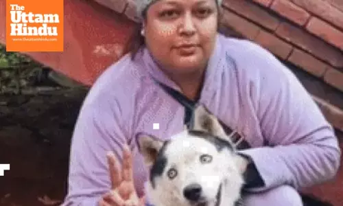 Congress Worker Files Dog’s Nomination for Punjab Elections