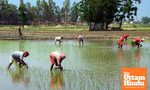 World Bank okays loan for new project to boost earnings of UP farmers