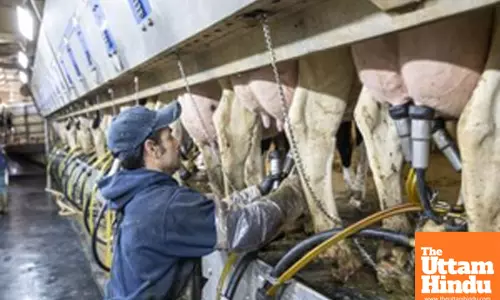 Flu virus can remain infectious in refrigerated raw milk for 5 days: Study