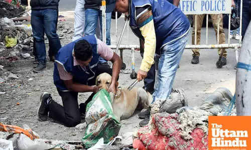 Kolkata Shocker: 30-Year-Old Woman Beheaded, Chopped Into 3 Pieces by Brother-In-Law After She Rejected His Advances!